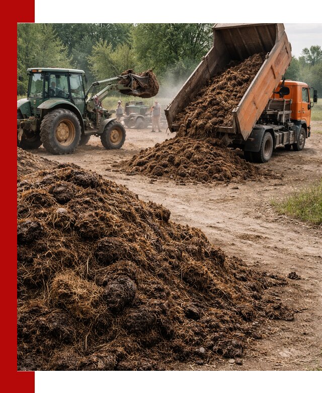 Доставка навоза самосвалами в Белове для сельхозпотребностей